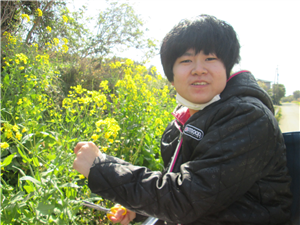 道端に菜の花を発見 道端に菜の花を発見