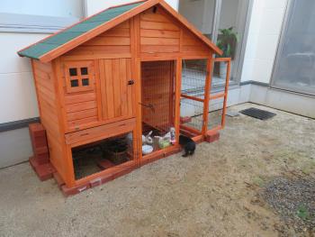 小屋 小屋