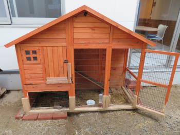 飼育小屋その1 飼育小屋その1