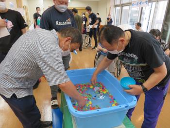 ボールすくい ボールすくい