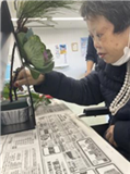 橋端 橋端
