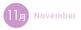 11月 11月